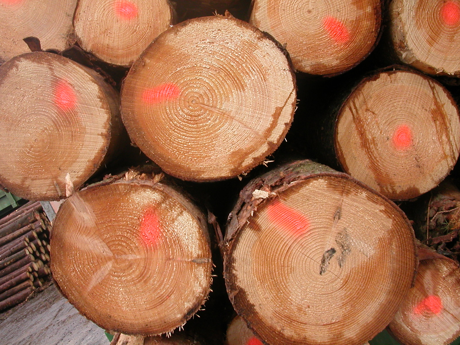 Holzverarbeitung